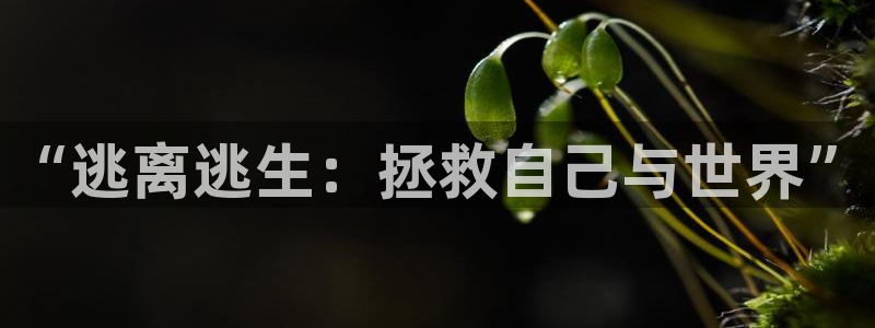 天使火狼动漫：“逃离逃生：拯救自己与世界”