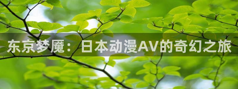 火狼动漫在线看动漫：东京梦魇：日本动漫AV的奇幻之旅