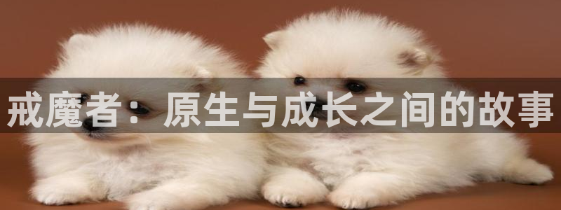 火狼网动漫万界独尊：戒魔者：原生与成长之间的故事