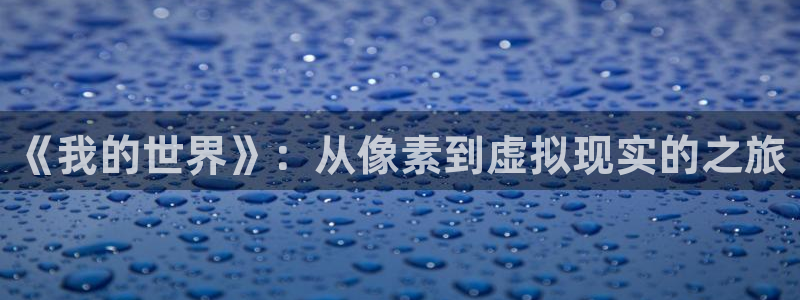动漫火狼动漫网免费：《我的世界》：从像素到虚拟现实的之旅
