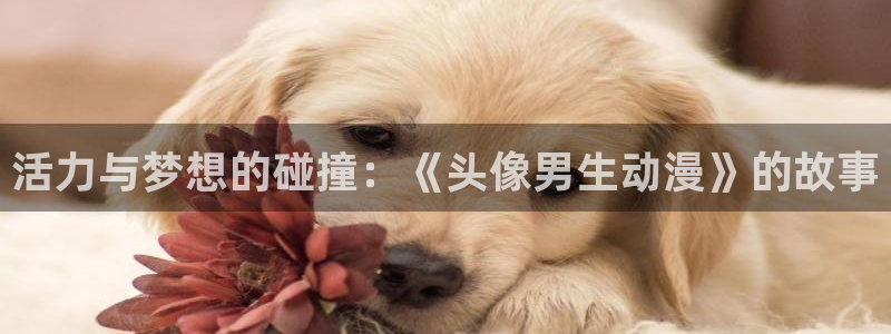火狼网动漫万界独尊